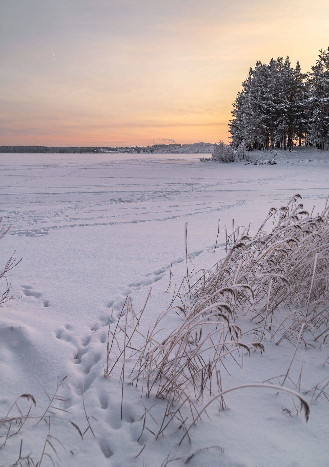 , Шуплецов Алексей