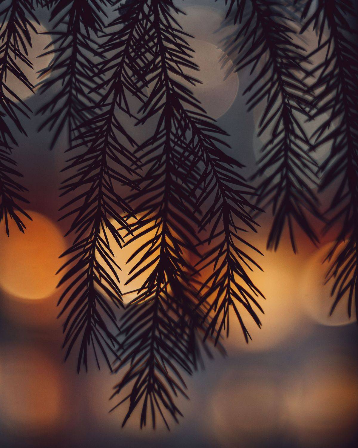 , Вайсберг Александр