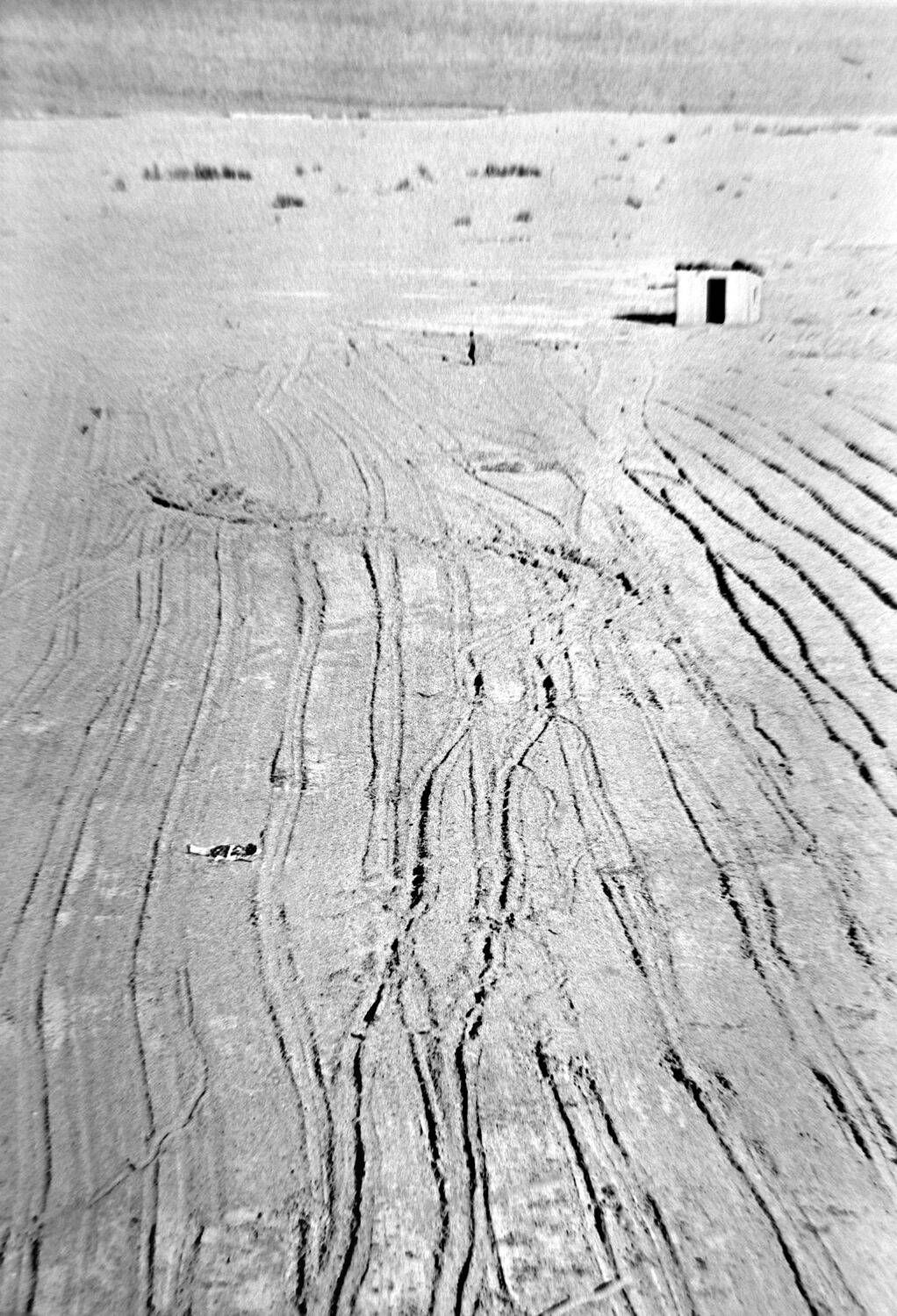 , Меднов Влад