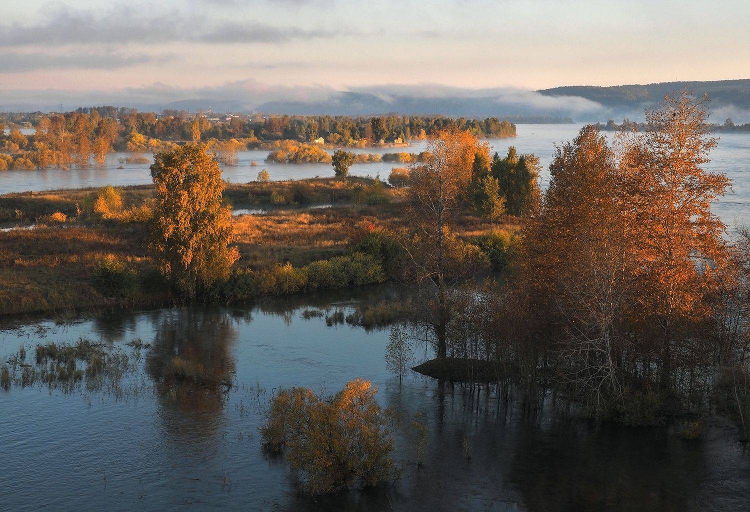 , Александр Попов
