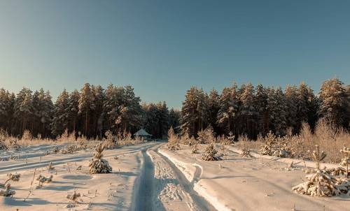 Зимние зарисовки