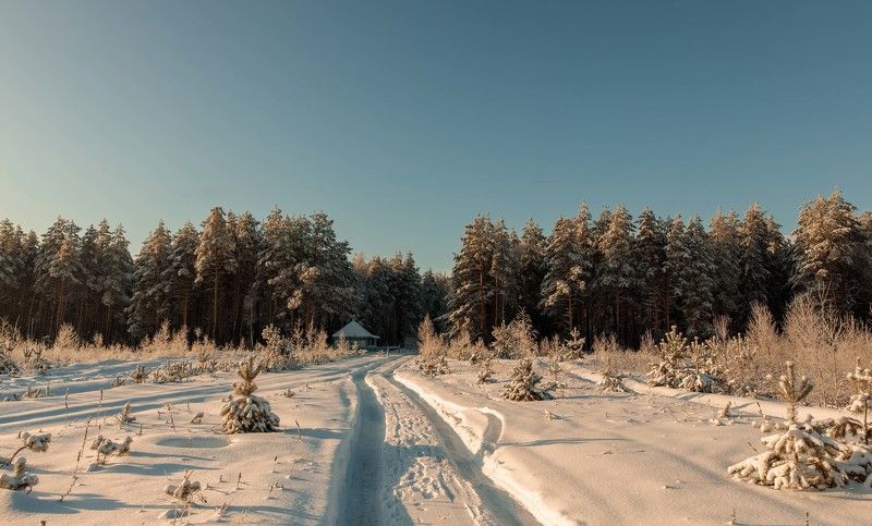 Зимние зарисовки фото превью