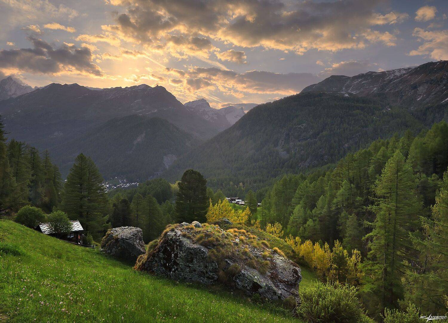 swiss, Матвеев Николай