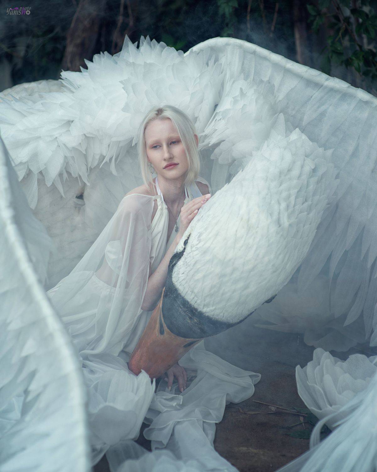 миф, Греция, альбинос, лебедь, арт, сказка, портрет, девушка, белый, Ермакова Янина