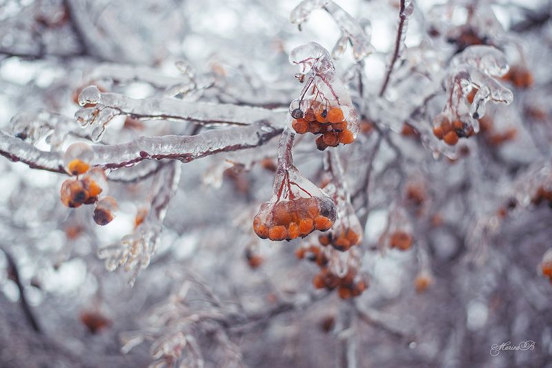 Леденцы от Деда Мороза фото превью