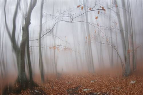 Осенняя акварель