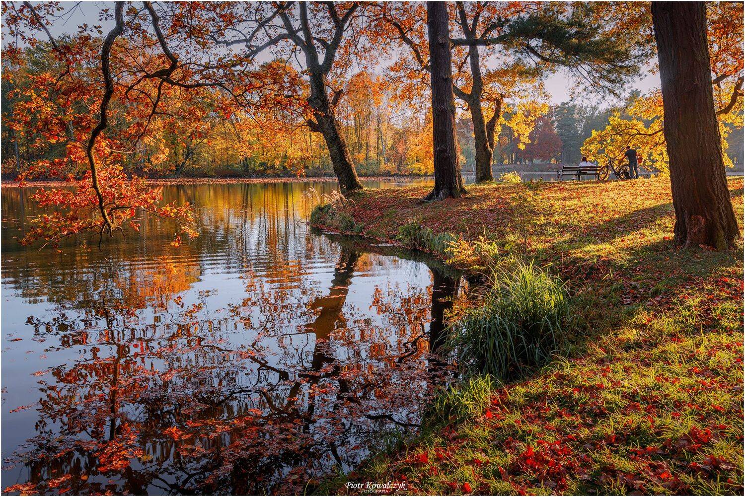 polska, jesień, Kowalczyk Piotr