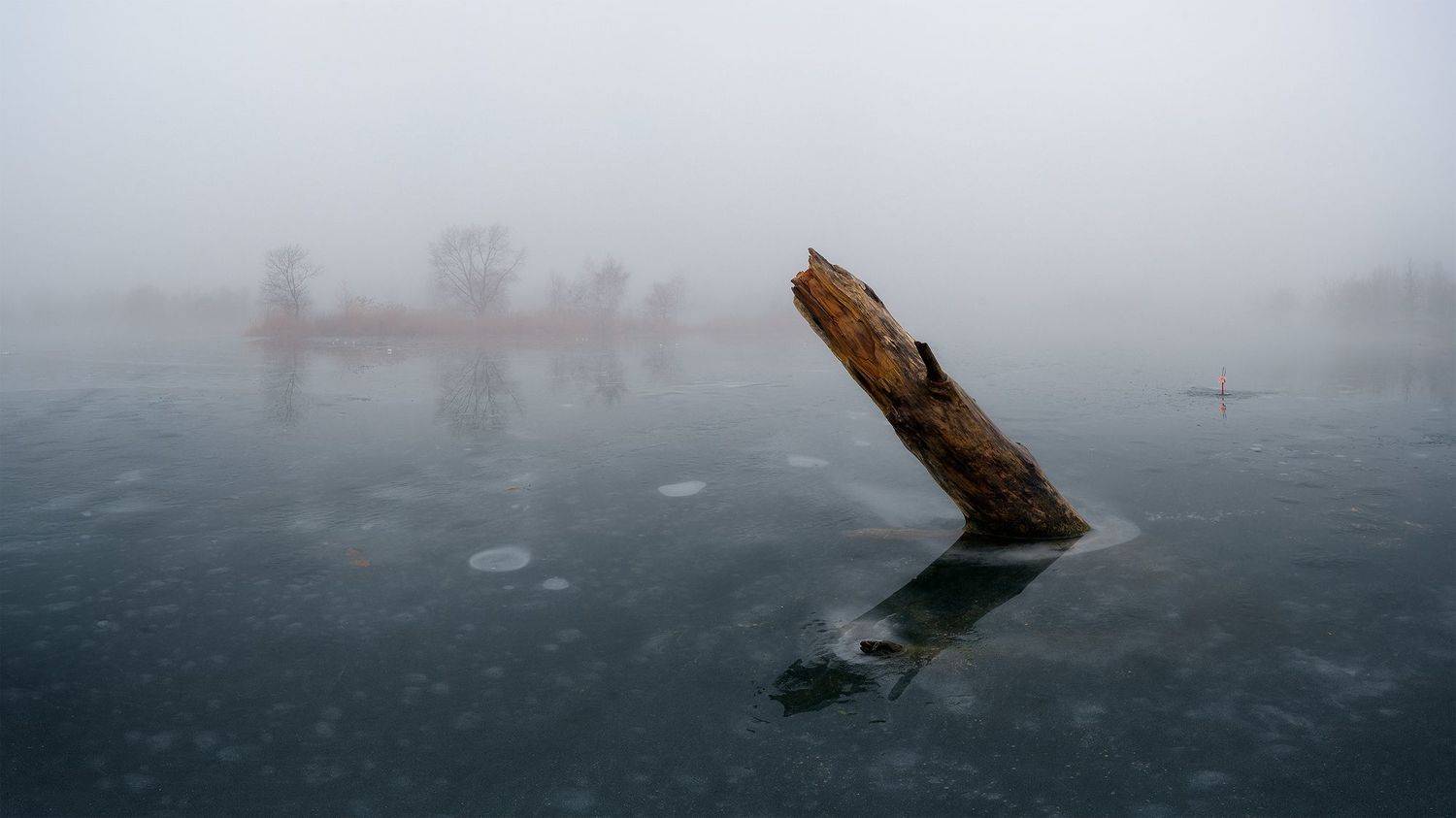 , Alexander Dvorichanskiy