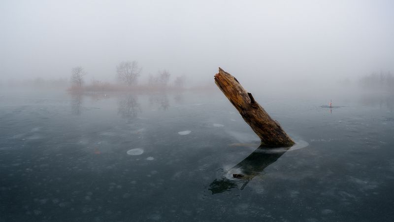 В тумане фото превью