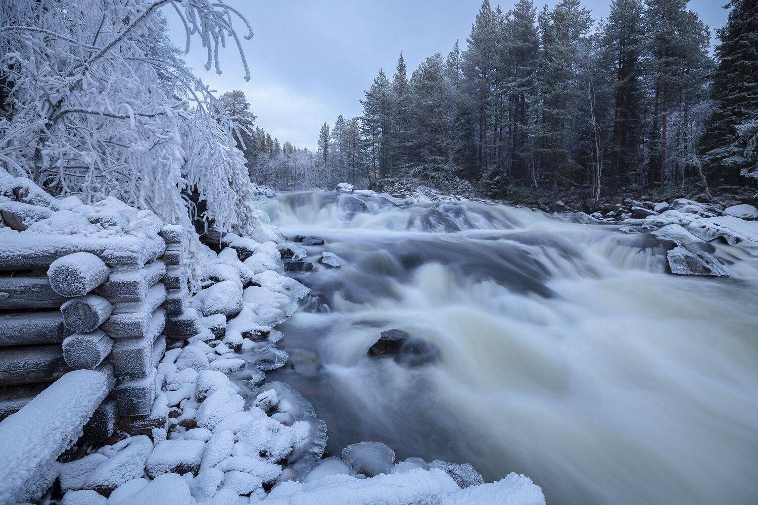 кольский, полуостров, Гусева Елена