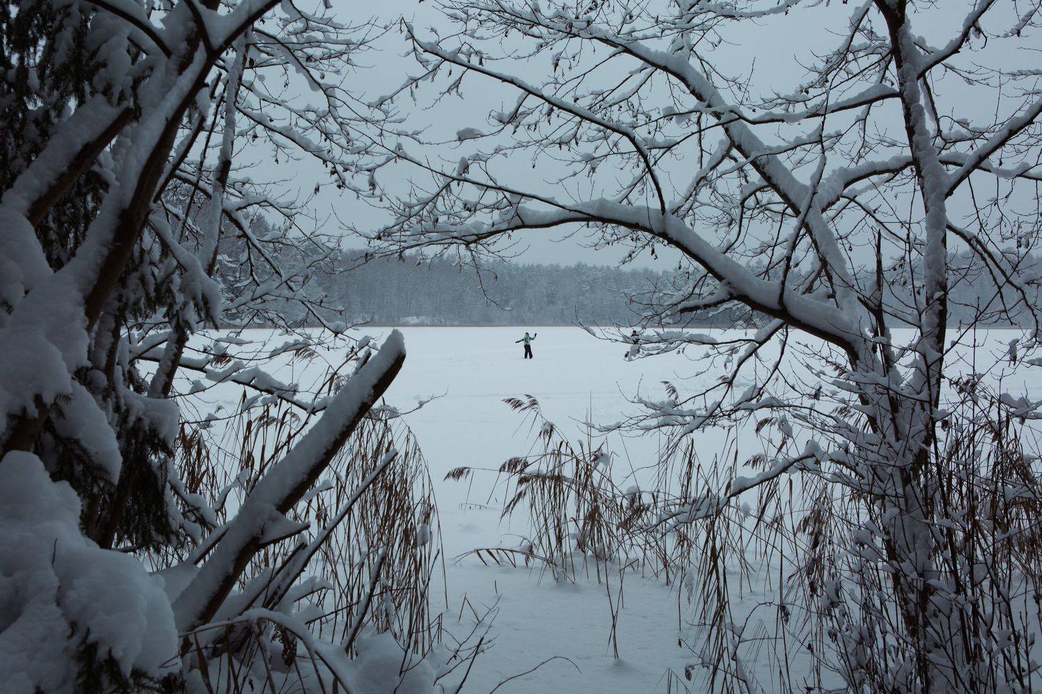 , Ольга Юсупова