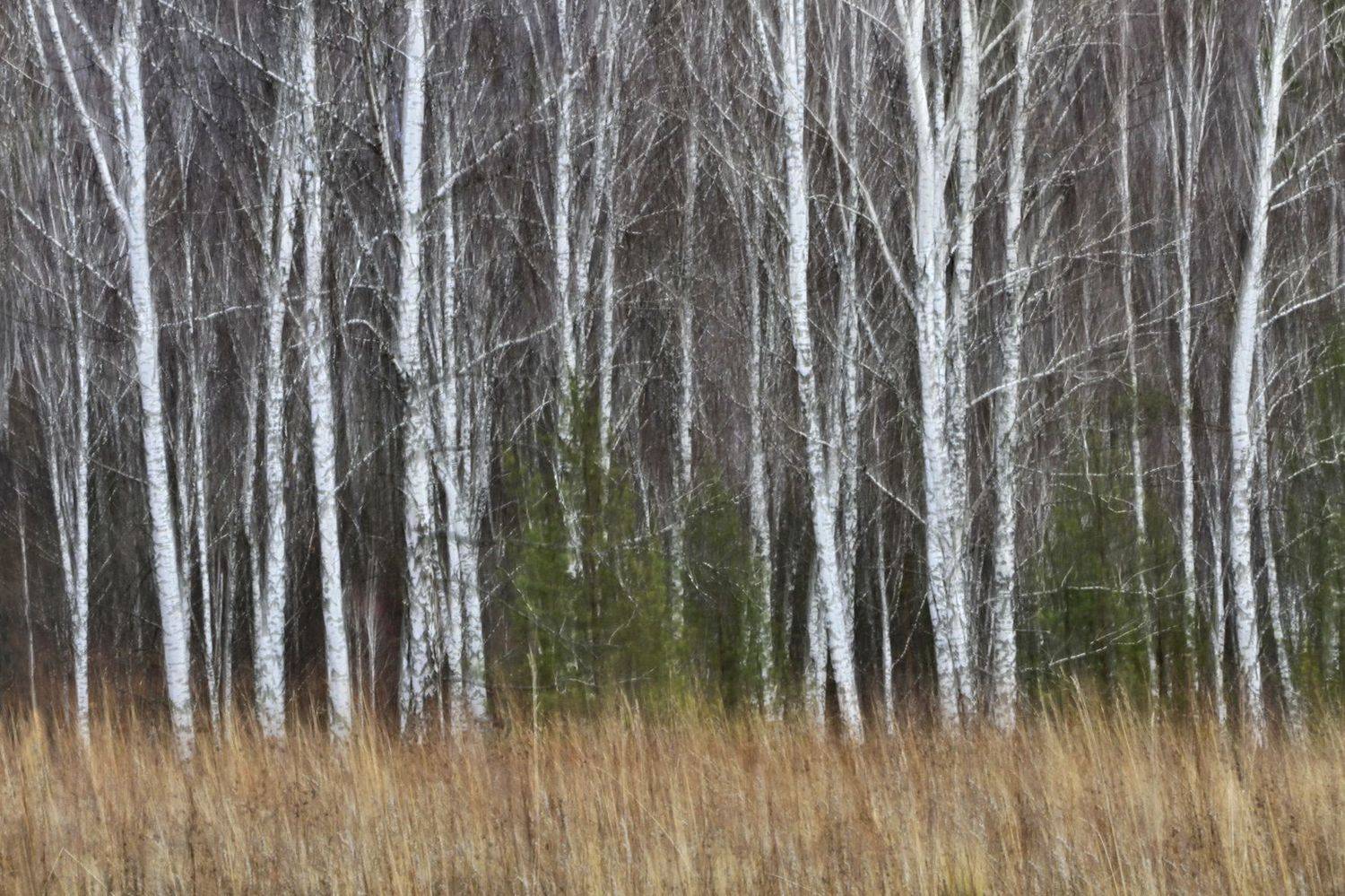 , Гагик Мхитарян