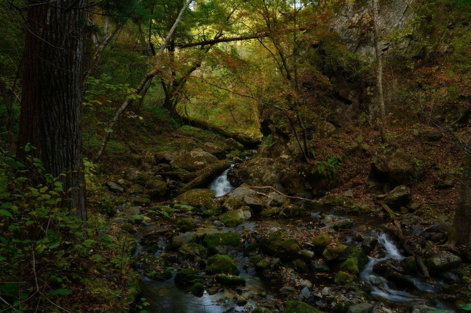 , Едуш Сергей