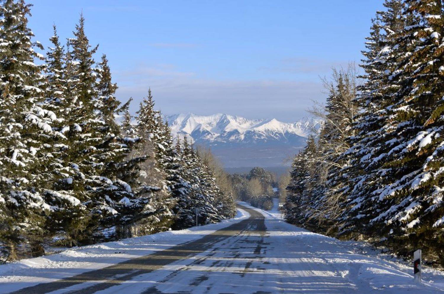 , Грищенко Ирина