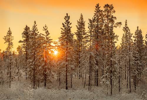Рассвет на Кольском