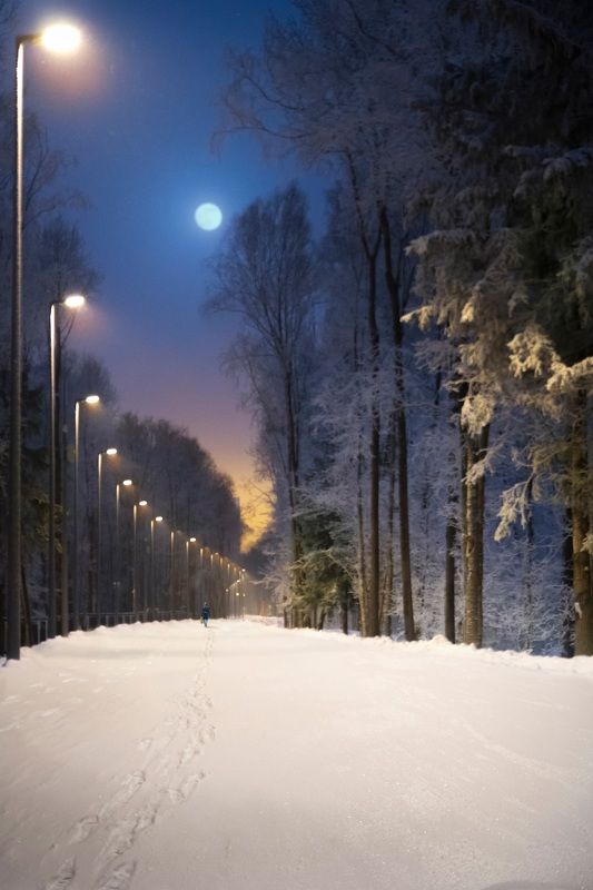 Дорога домой фото превью