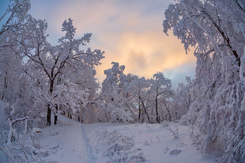 Зимними тропинками... фото превью