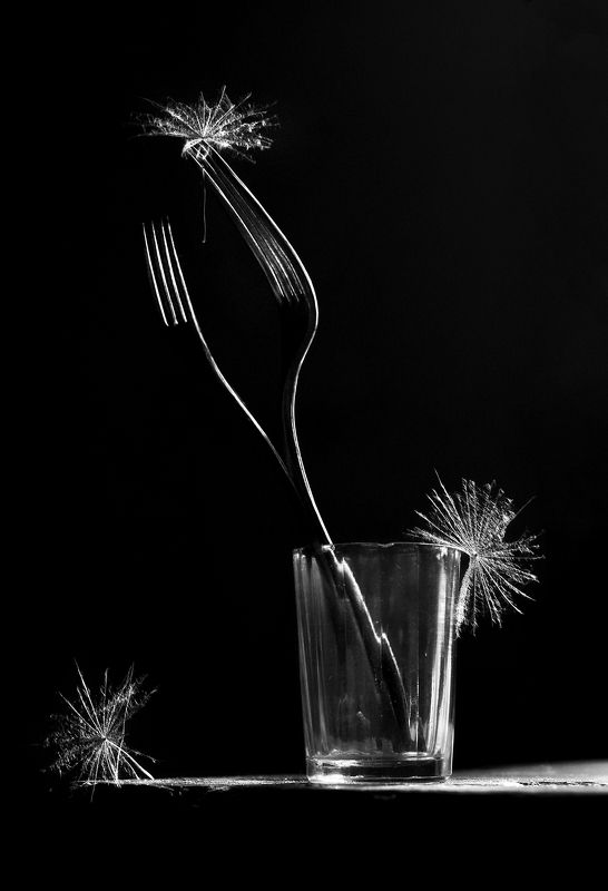 натюрморт, чёрно-белое, вилки Из жизни вилок фото превью