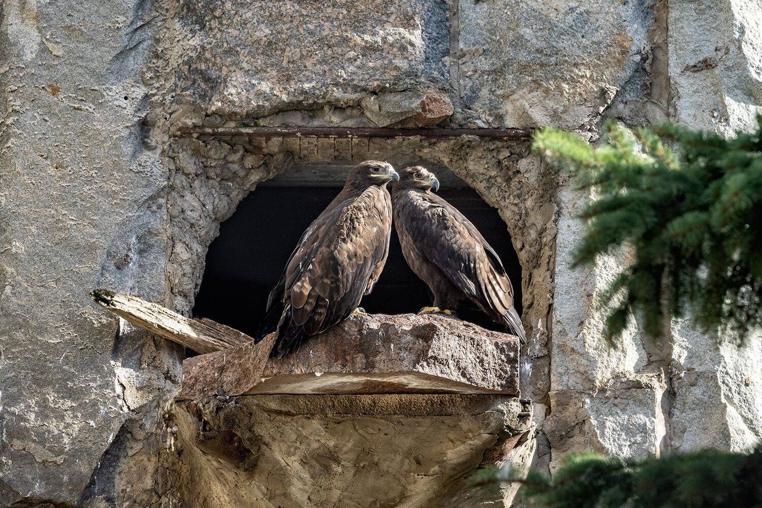 , Шурчков Юрий