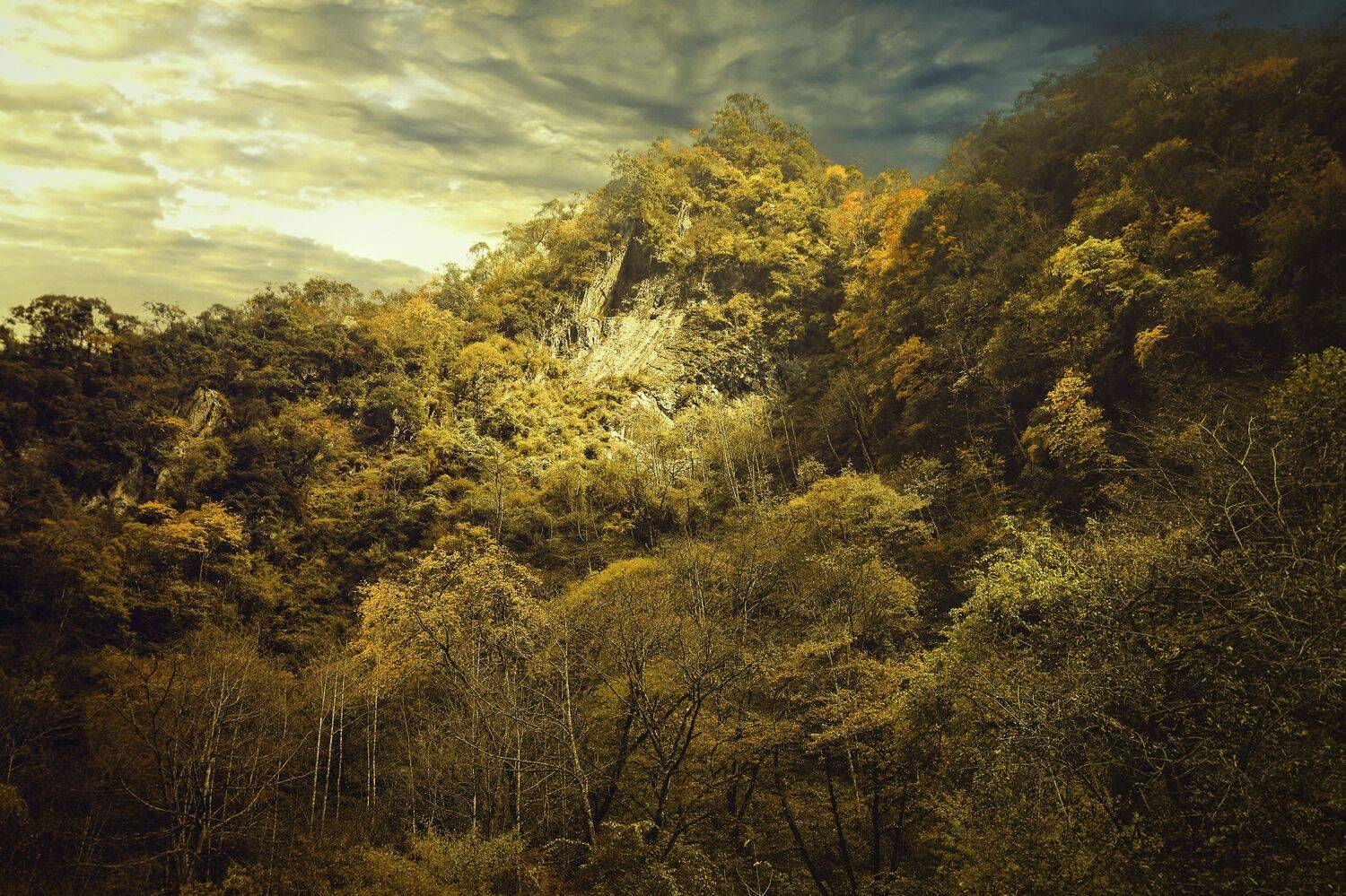 丹林深处, 吴 微雨墨烟鸿