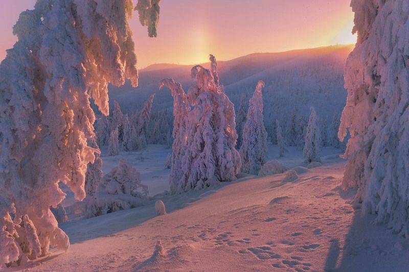 Зимний этюд. фото превью