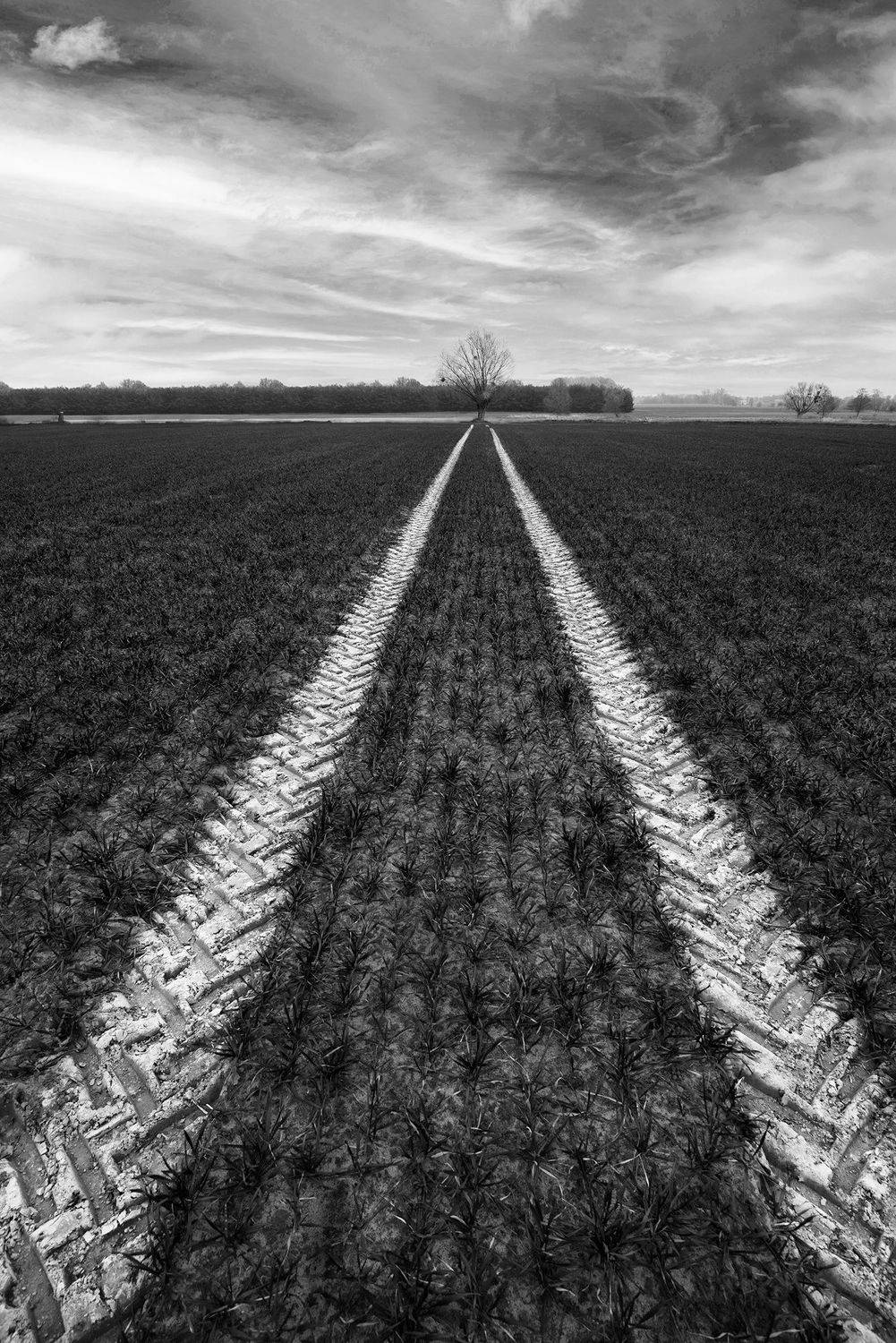 , Sebastian Jakubowski