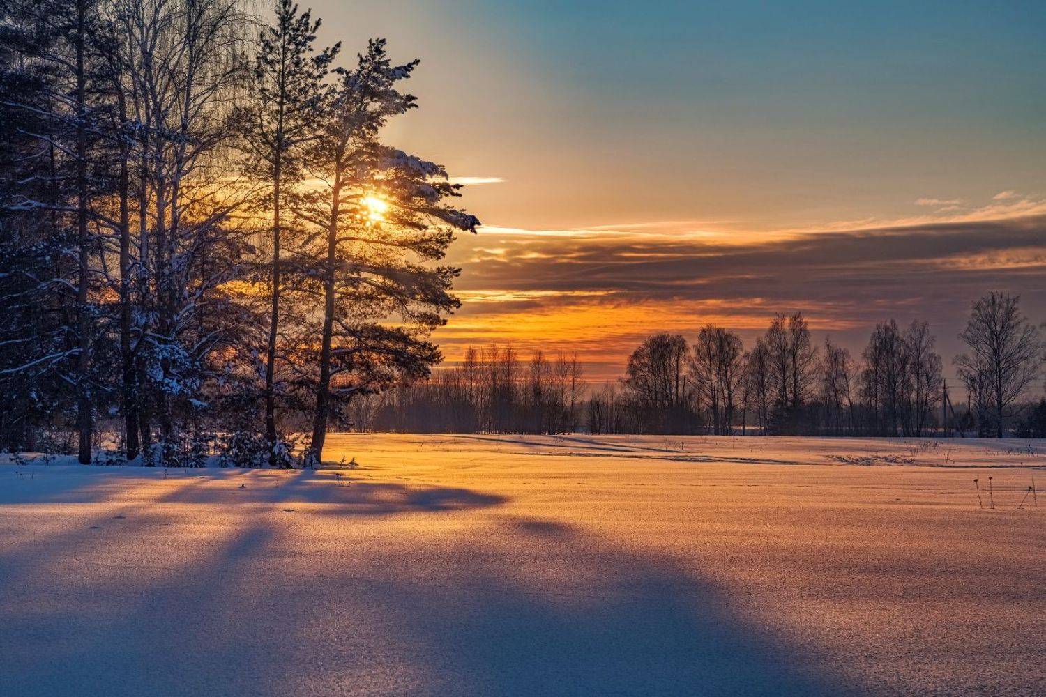 , Евгений Ерохин