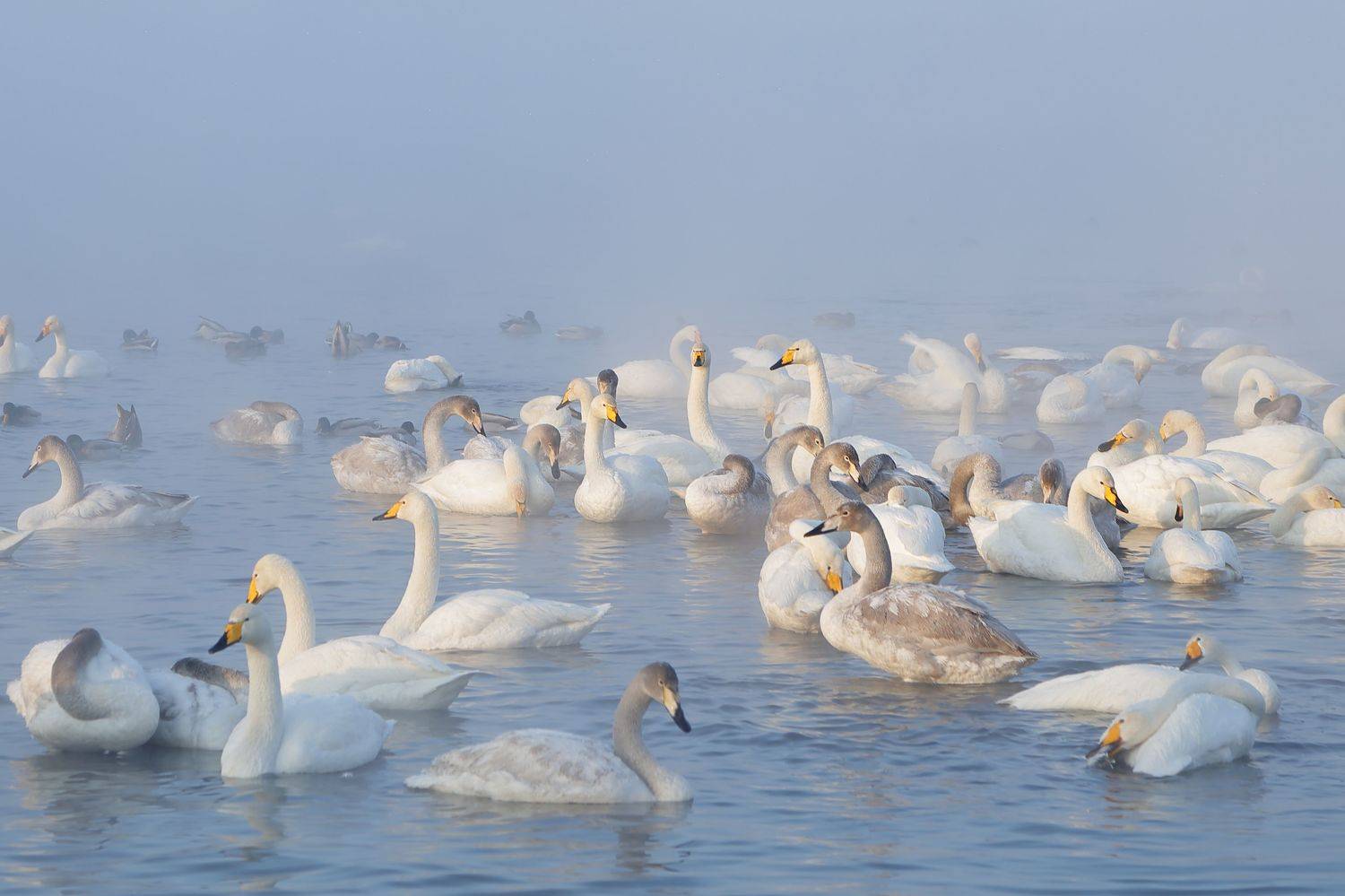 , Евгений Зинов