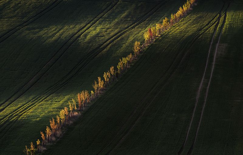 Line of light and shadow фото превью
