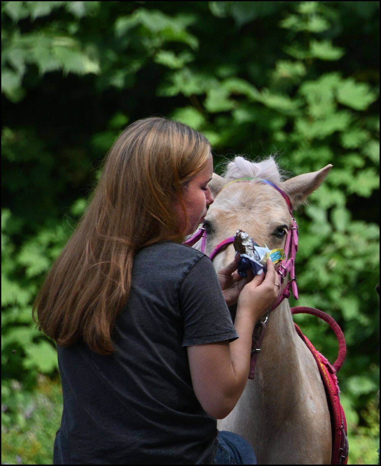 , Меднов Влад