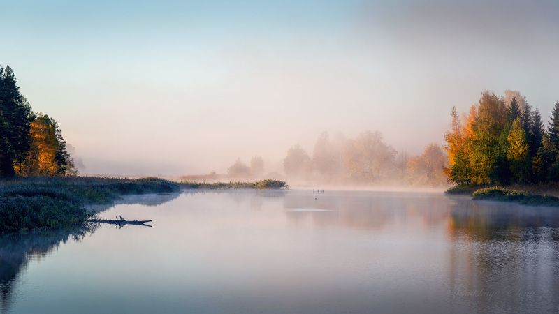 ***в утреннем тумане фото превью