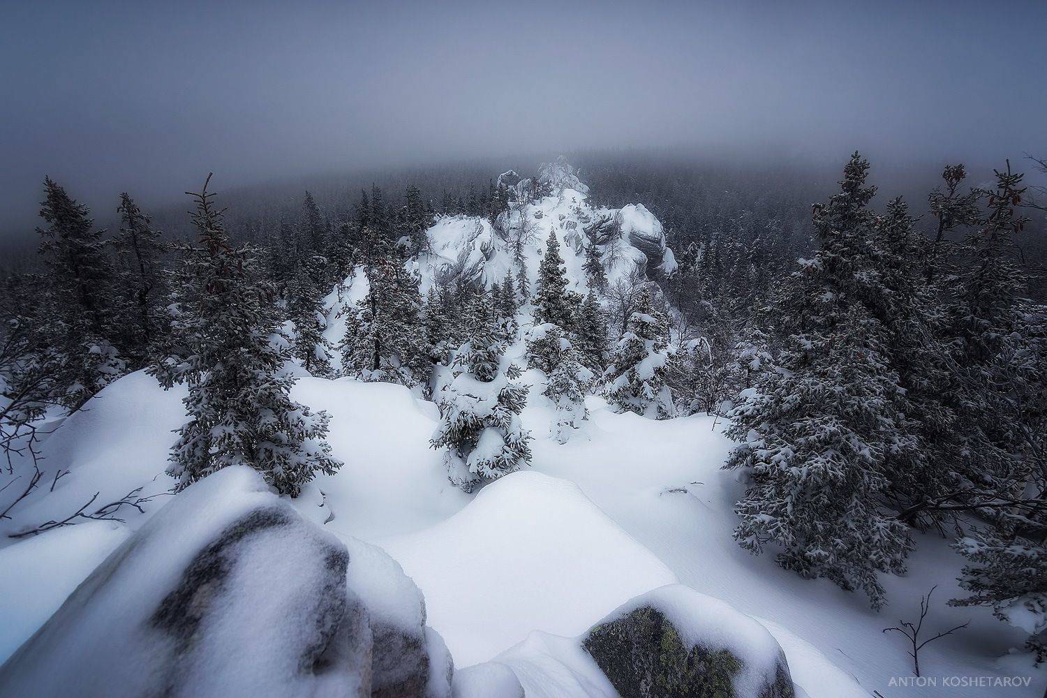 , Антон Кошетаров