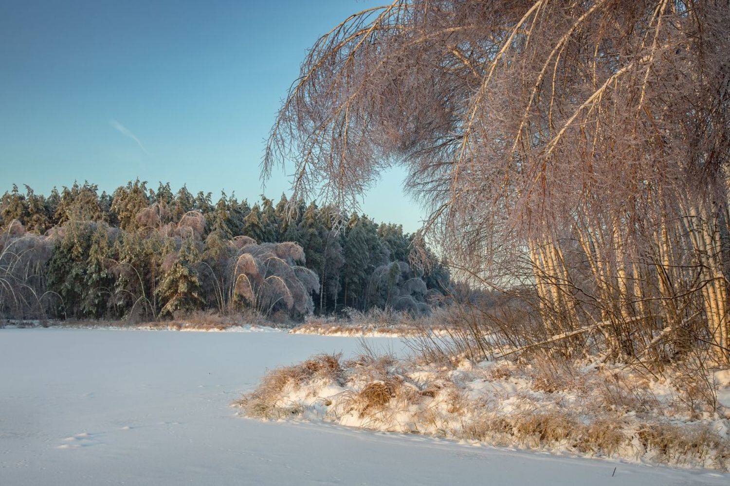 утро мороз лед рассвет серково наледь, Дмитрий Алексеев