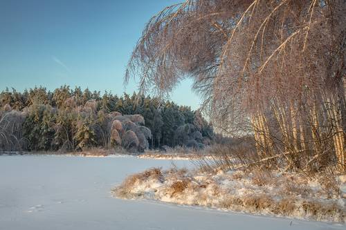 Склоняясь в реверансе