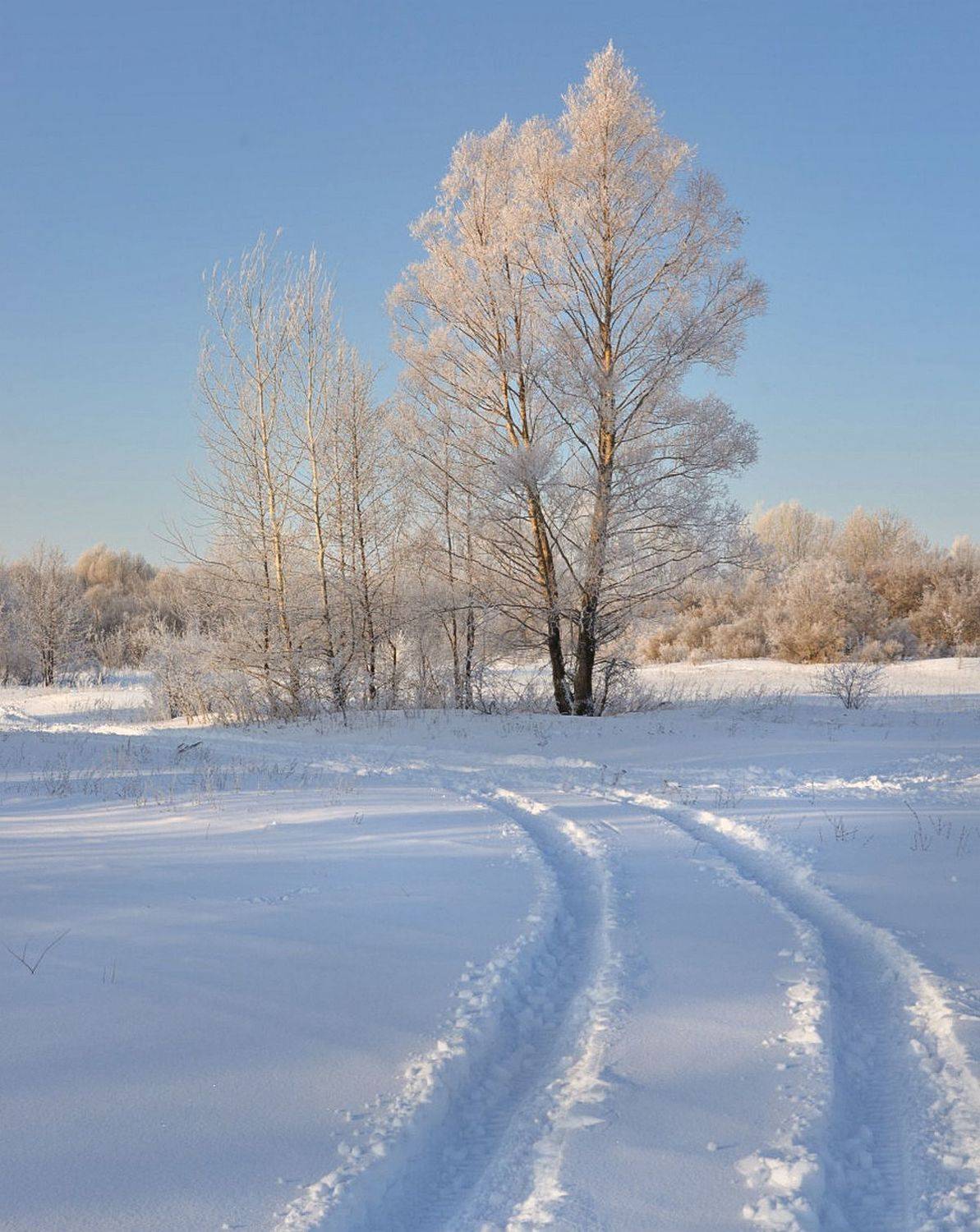 , Вадим Качанов