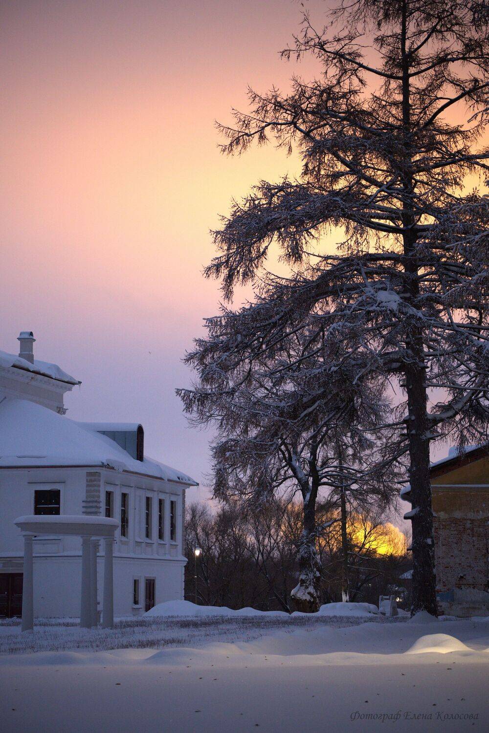 , Елена Колосова