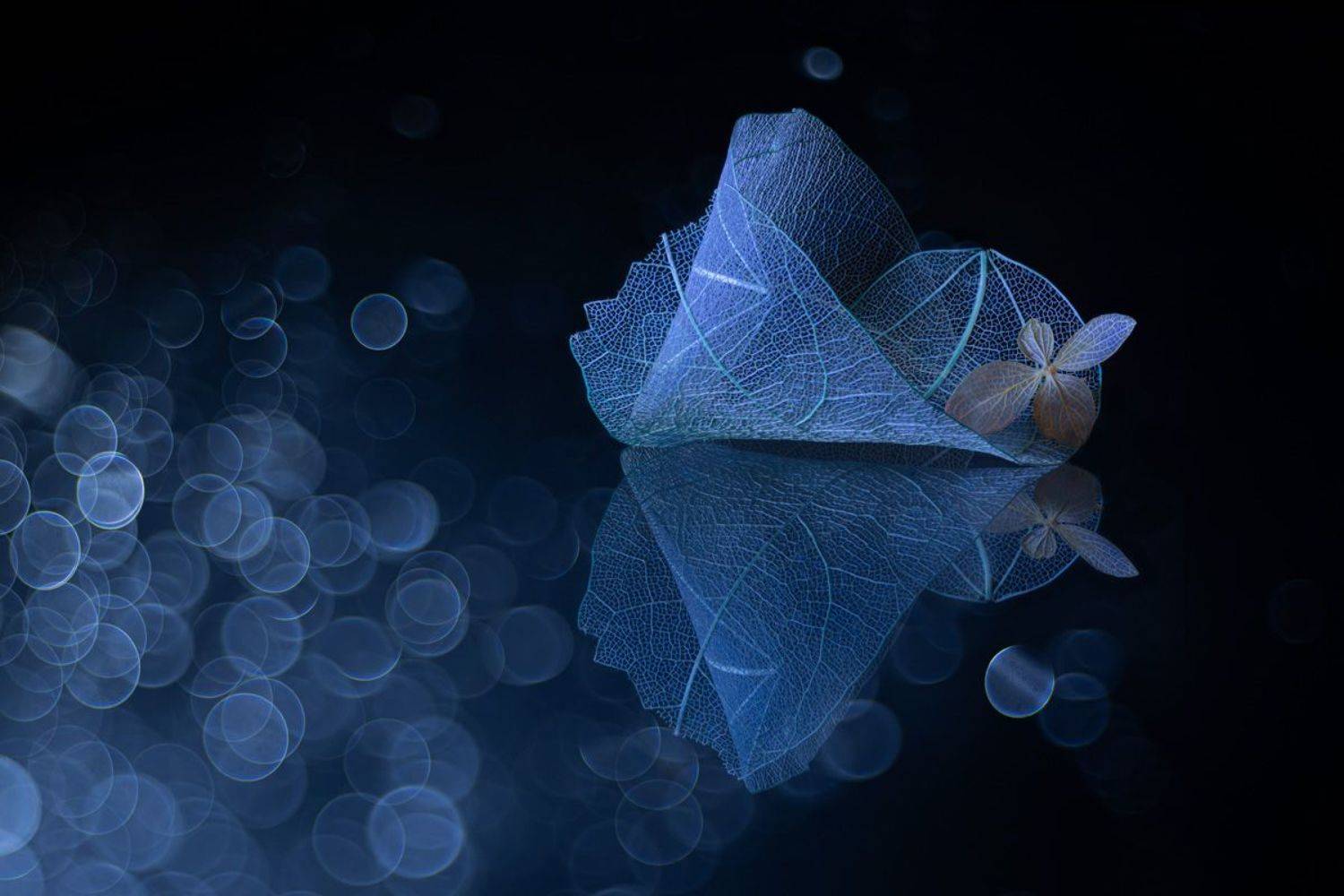 , Игорь Копцев