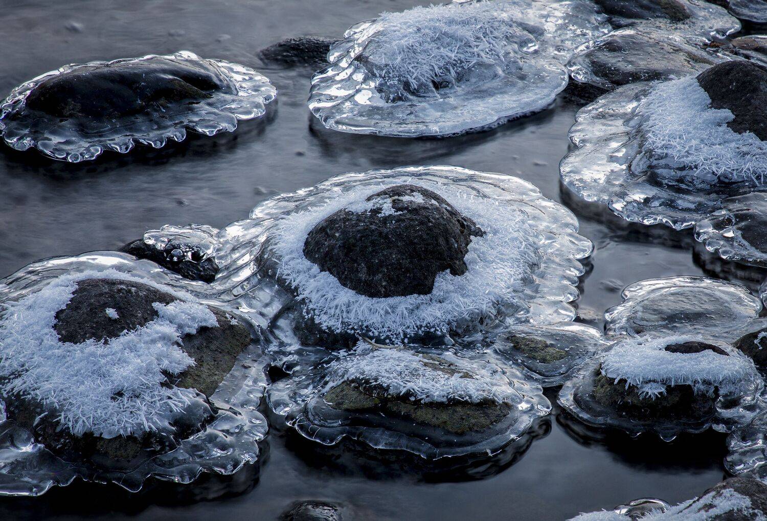 Кольский полуостров, Гусева Елена
