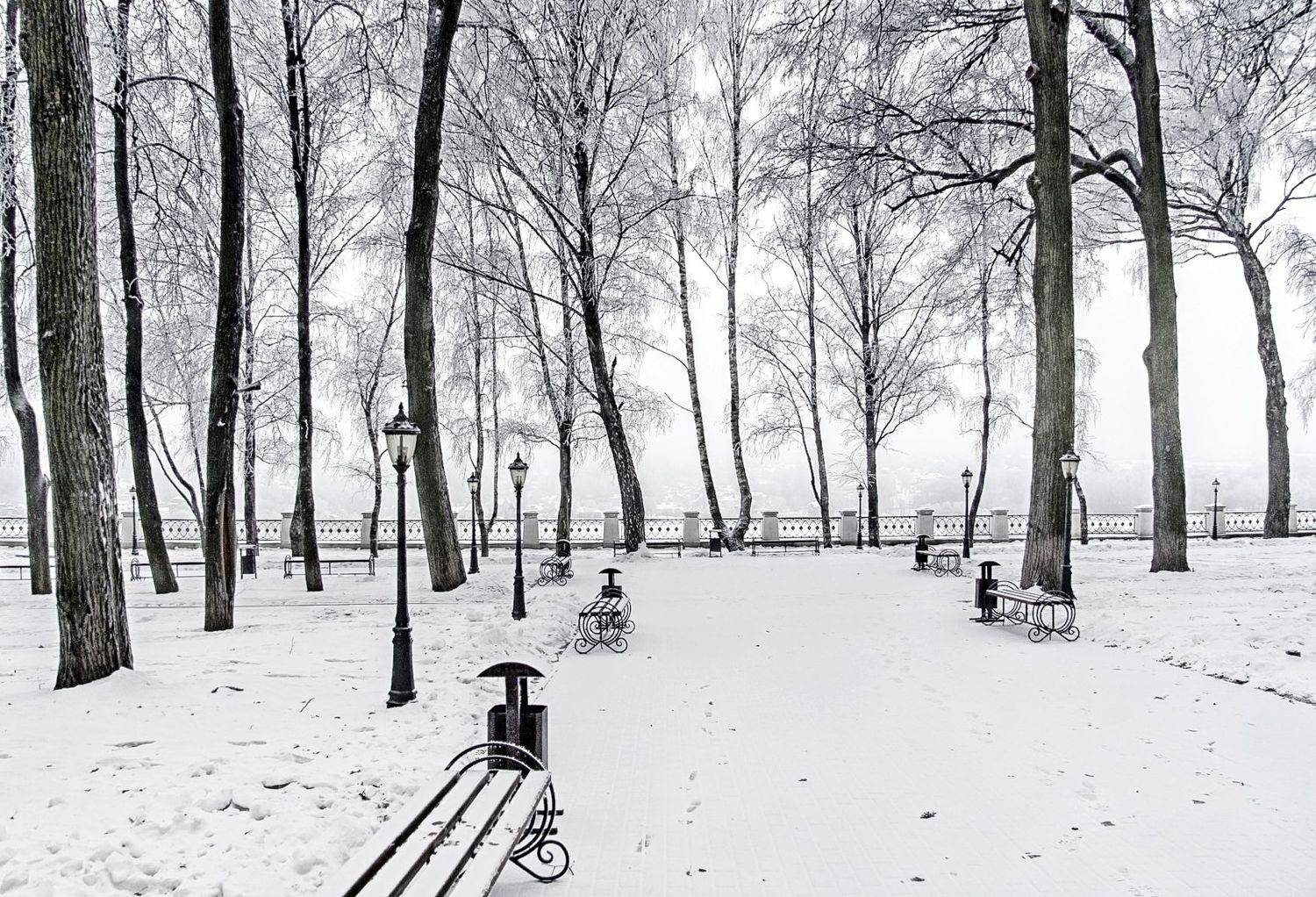 , Лайко Марина