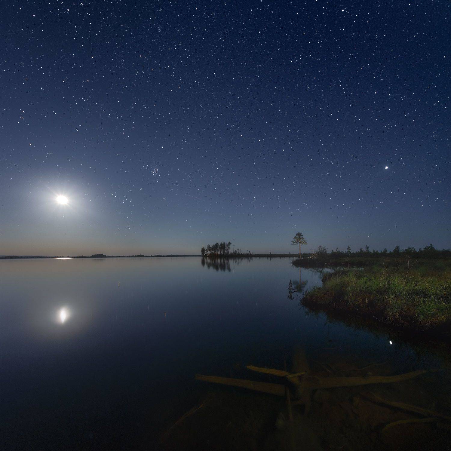 пейзаж, ночь, звёзды, луна, озеро, сосны, болото, landscape, nightscape, pine, lake, night, stars, moon, swamp, Чаланов Иван