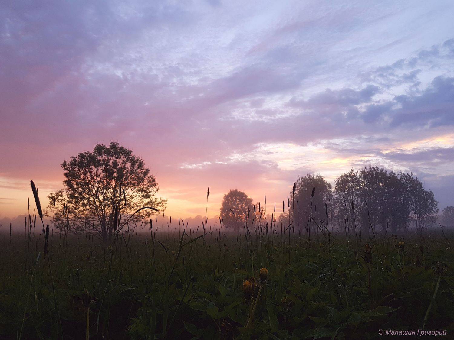 розовый туман, розовый вечер, туман, туманы, закат, рассвет, красный, красивый, синий, волшебный, волшебно, поле, ленобласть, ло, арбонье, Григорий