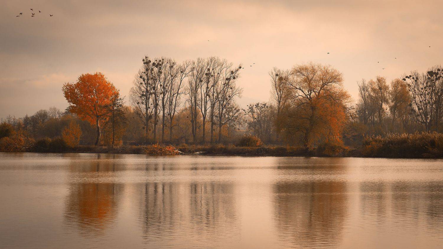 Autumn. Автор: Robert Adamec , Robert Adamec