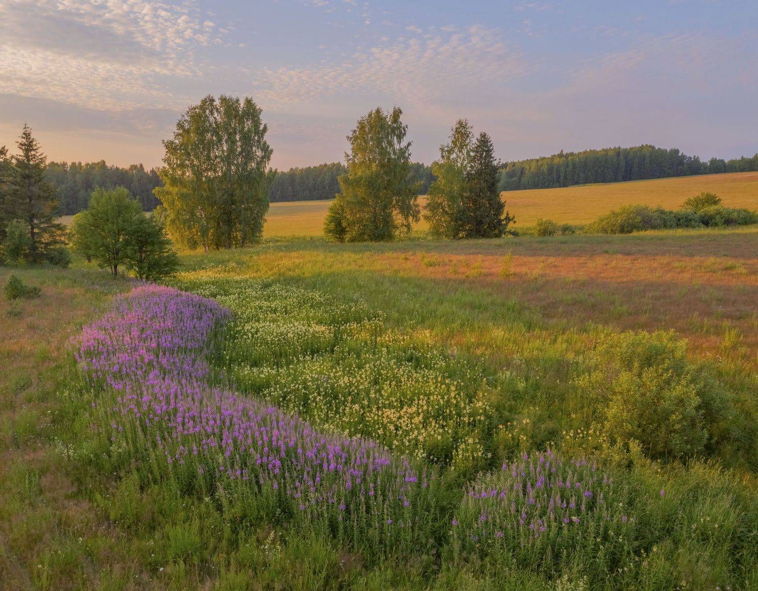 фототуры с владимиром рябковым, #topnature #russpasibo #magic_shots #lovelyrussia #sunset_vision #exclusive_sky  #exclusive_shots #loves_russia2 #photoarena_nature #nature_sultans #nature_perfection #rsa_sky #rsa_sunset #photorussia #rsa_naturepics #sunse, Владимир Рябков
