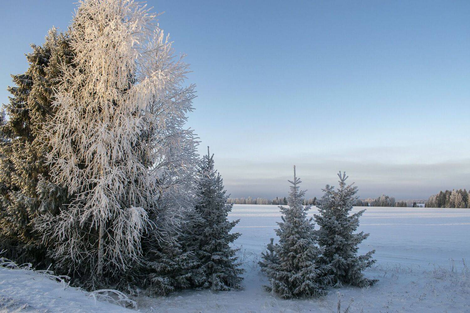 , Галина Луценко