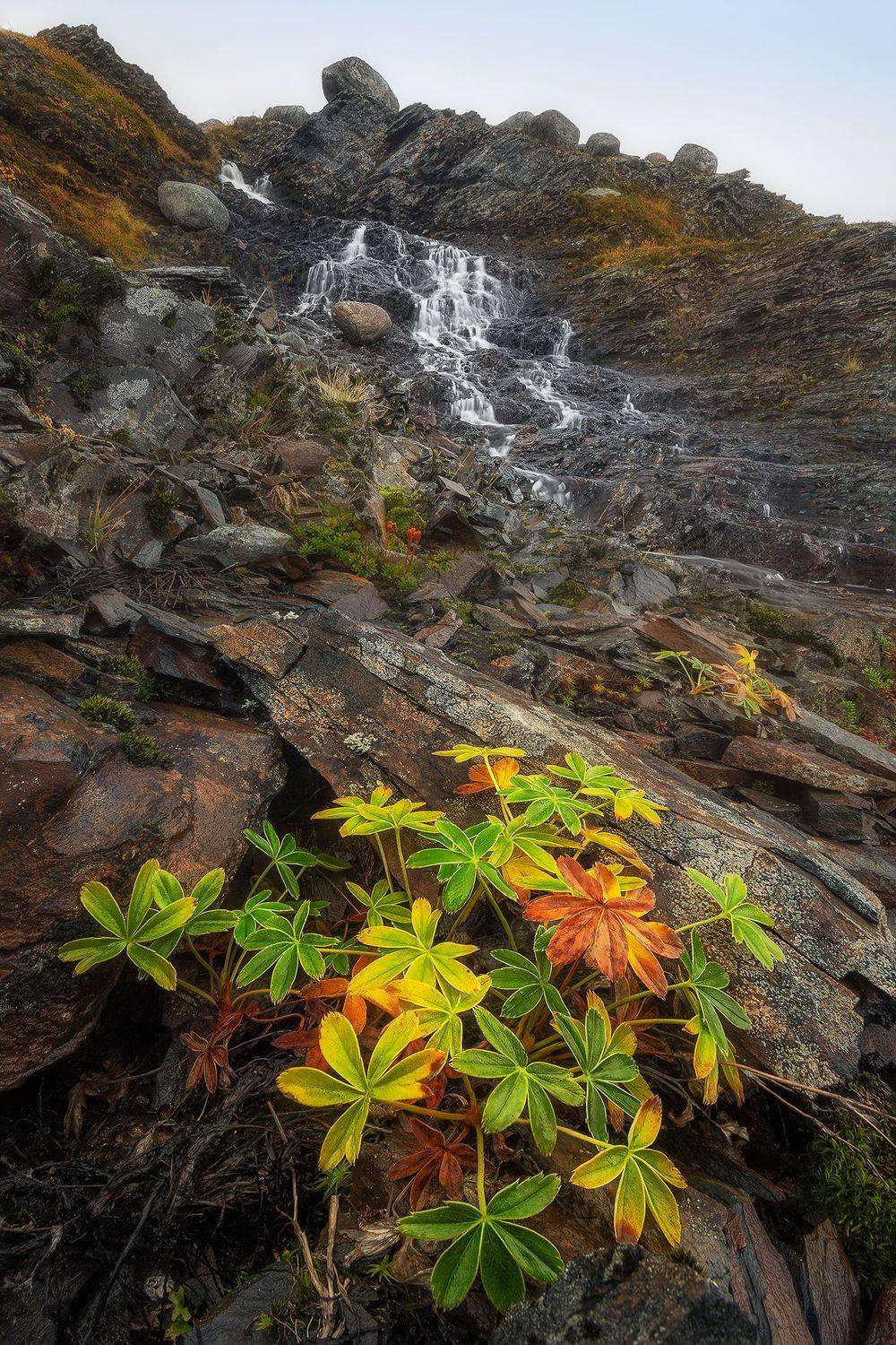 , Константин Маланин