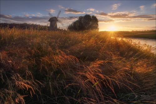 Летние травы