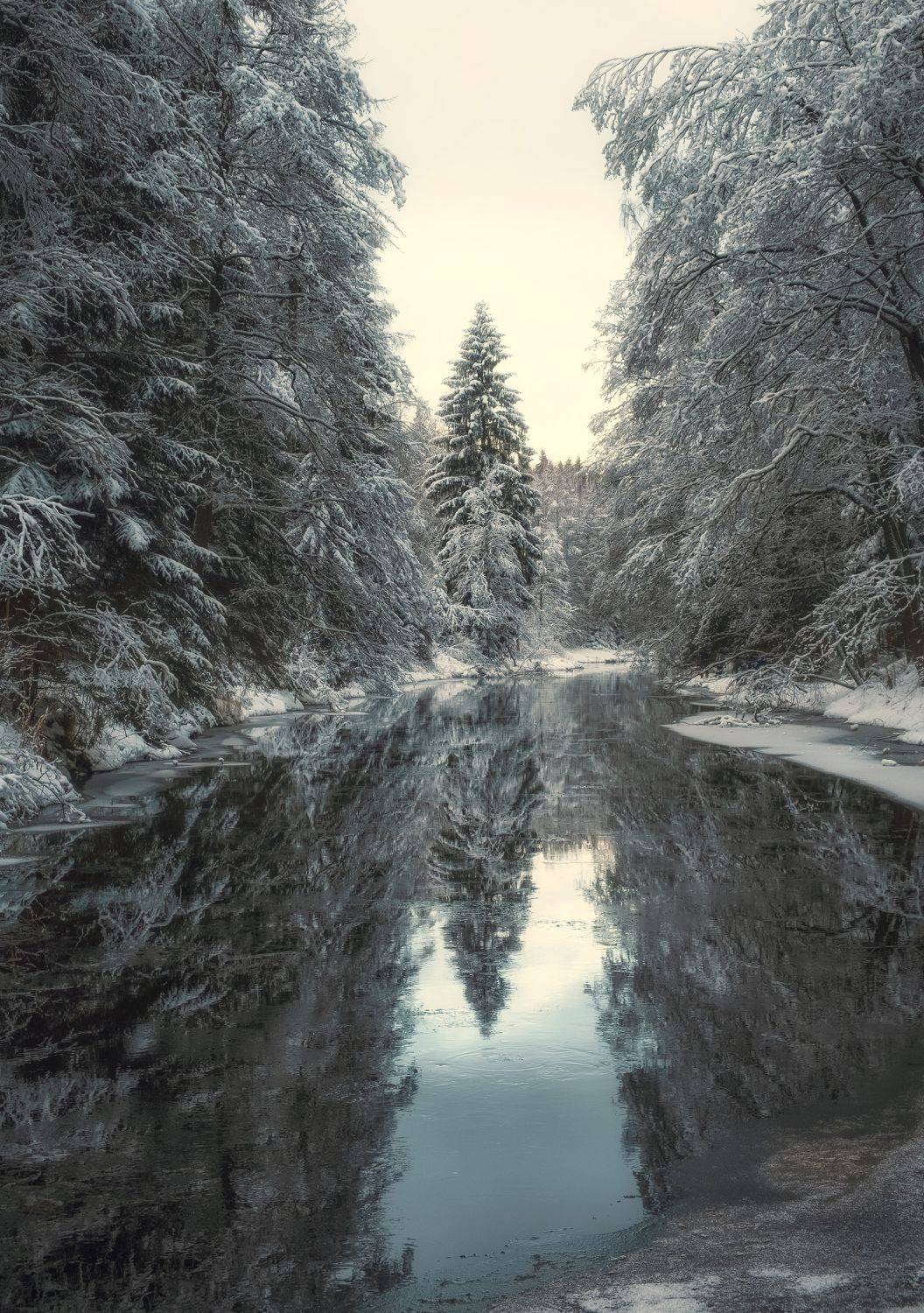 , Светлана Краюшкина