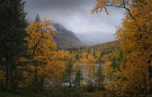 Золотая осень в Ловозерах и ранняя зима в Токсово