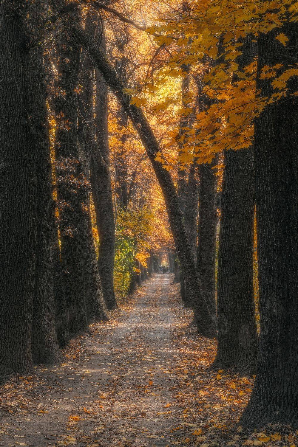 , Еремеев Дмитрий