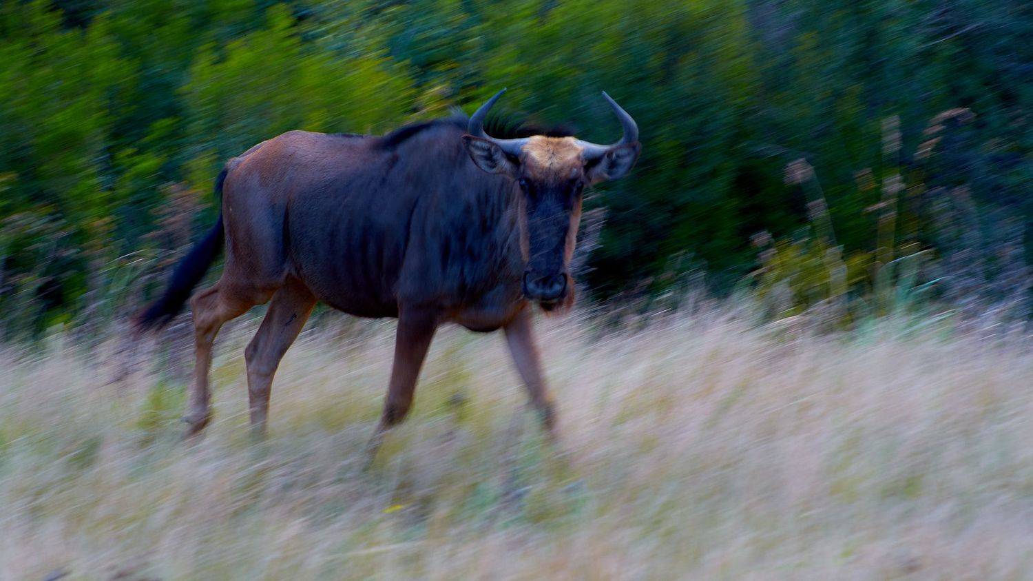 , Вячеслав Владимирович